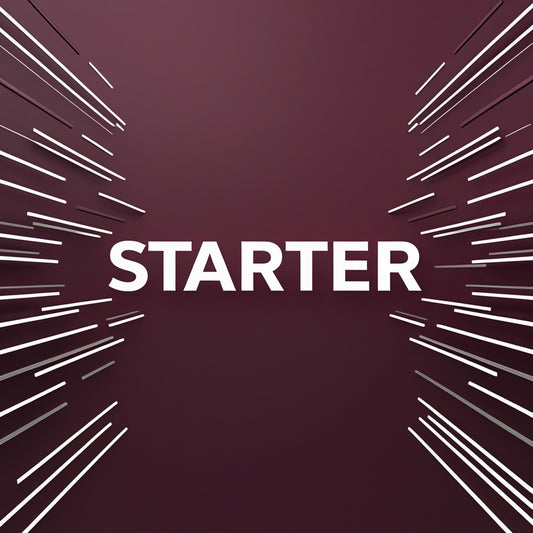 Starter